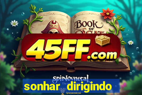 sonhar dirigindo carro jogo do bicho